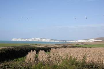Look out to the gorgeous white cliffs of the Isle of Wight, a remarkable scene can be appreciated from the dining-room and kitchen.