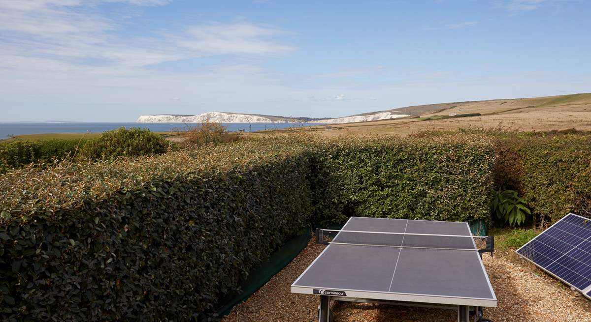 Everyone will enjoy a game of table tennis in the fresh air.