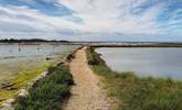 Newtown is the only National Nature Reserve on the Isle of Wight and is full of wildlife. - Thumbnail Image