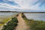 Newtown is the only National Nature Reserve on the Isle of Wight and is full of wildlife.