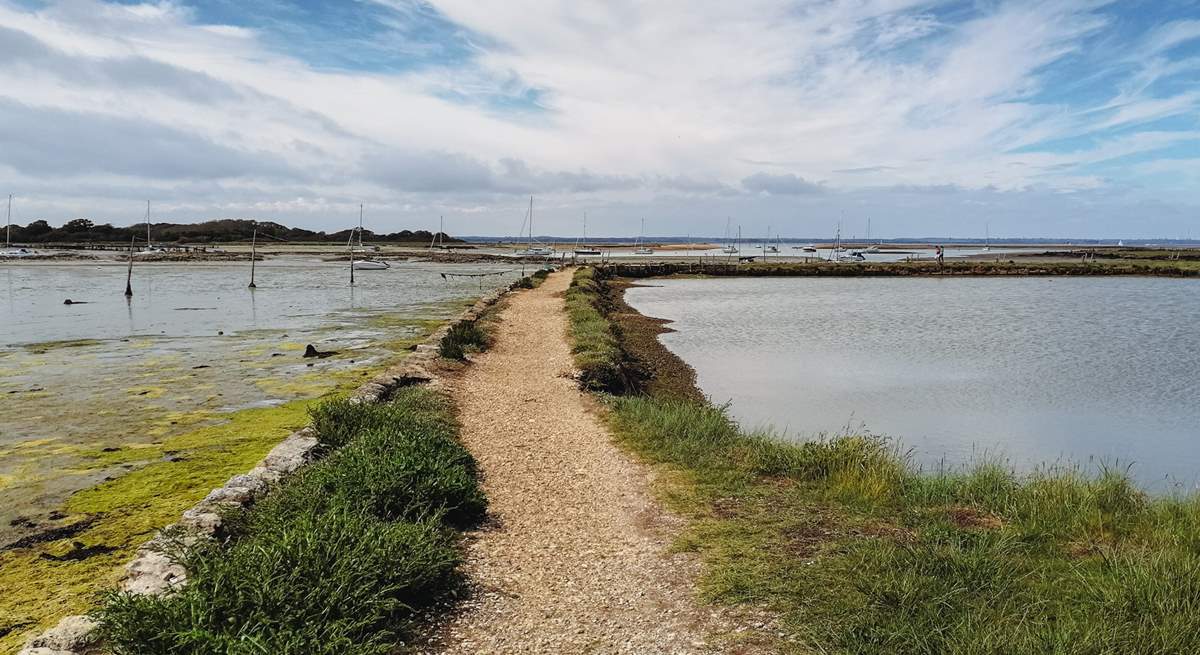 Newtown is the only National Nature Reserve on the Isle of Wight and is full of wildlife.