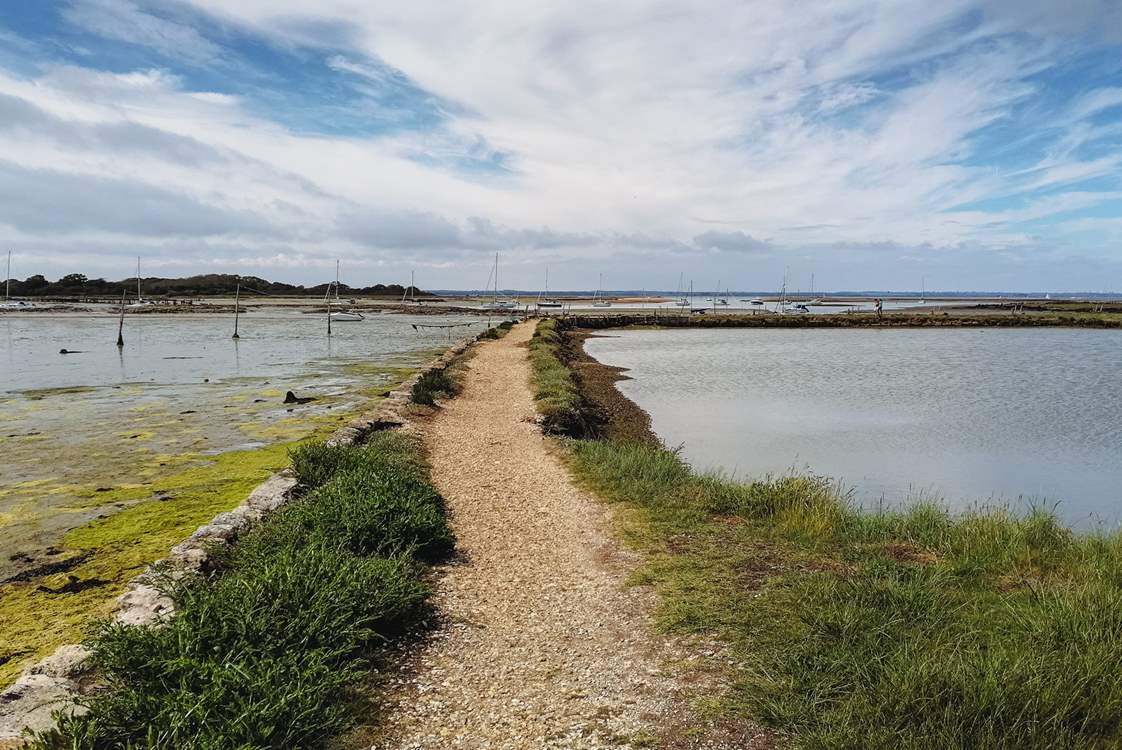 Newtown is the only National Nature Reserve on the Isle of Wight and is full of wildlife.