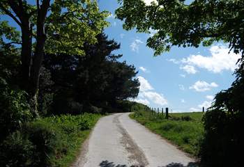 The private lane leading to Nanteague Farm.