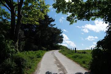 The private lane leading to Nanteague Farm.