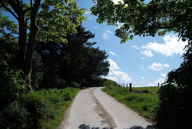 The private lane leading to Nanteague Farm.