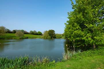 There are plenty of lovely spots to picnic around the lake.
