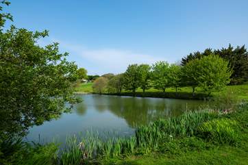 Looking back from the far end of the lake towards Nanteague.