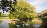 Please supervise children near the pond, which is surrounded by a low fence. - Thumbnail Image