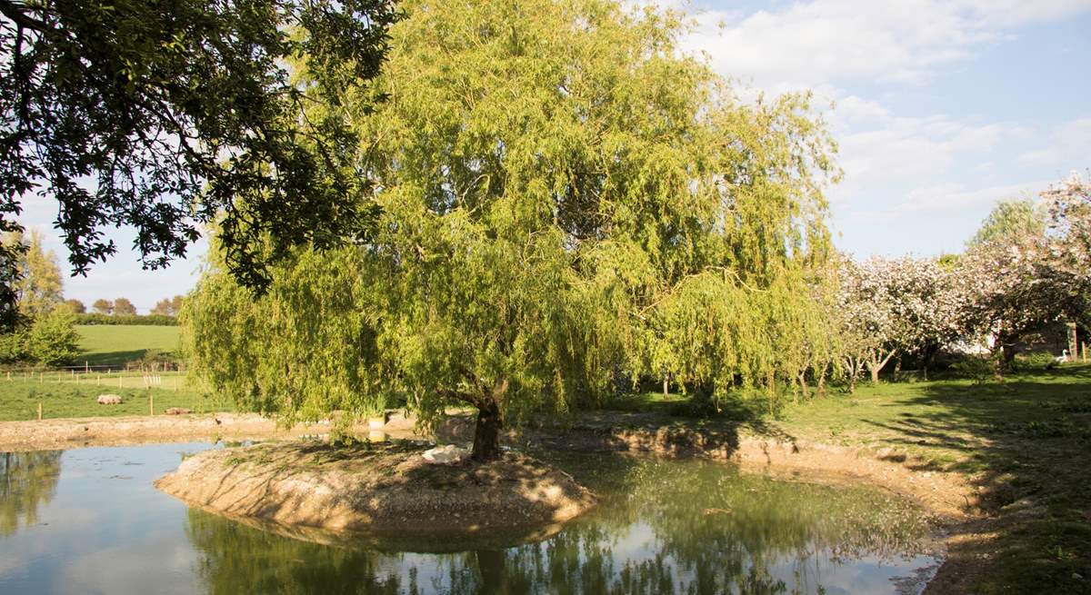 Please supervise children near the pond, which is surrounded by a low fence.