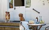 Dog friendly Orchard Cottage. - Thumbnail Image