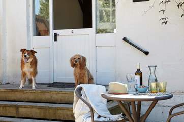 Dog friendly Orchard Cottage.
