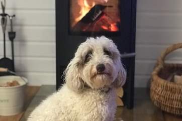 Your four-legged friend is also welcome at Cuddle Cabin.