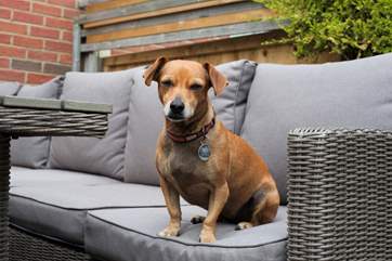 Holidays aren't just for adults, bring along man's best friend and take them on the wonderful surrounding countryside walks.