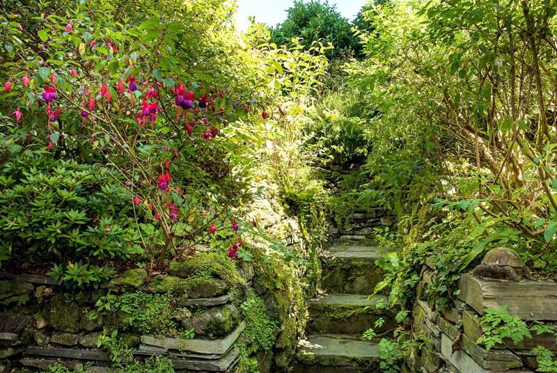 The steps leading up to the garden.