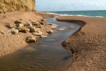 Hive beach at Burton Bradstock to the east of Seatown is great for walking your dog all year round.