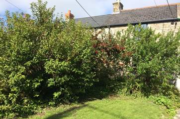 The front garden with Moorland View in the background.