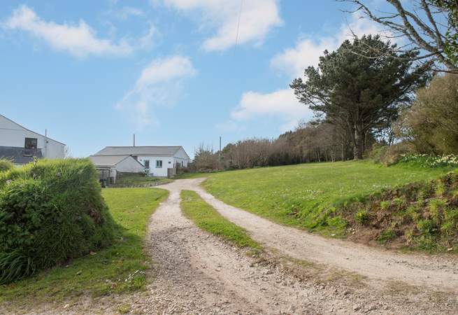 The driveway to the Tractor Shed, the land to the left is the perfect place to walk the dog in the morning.