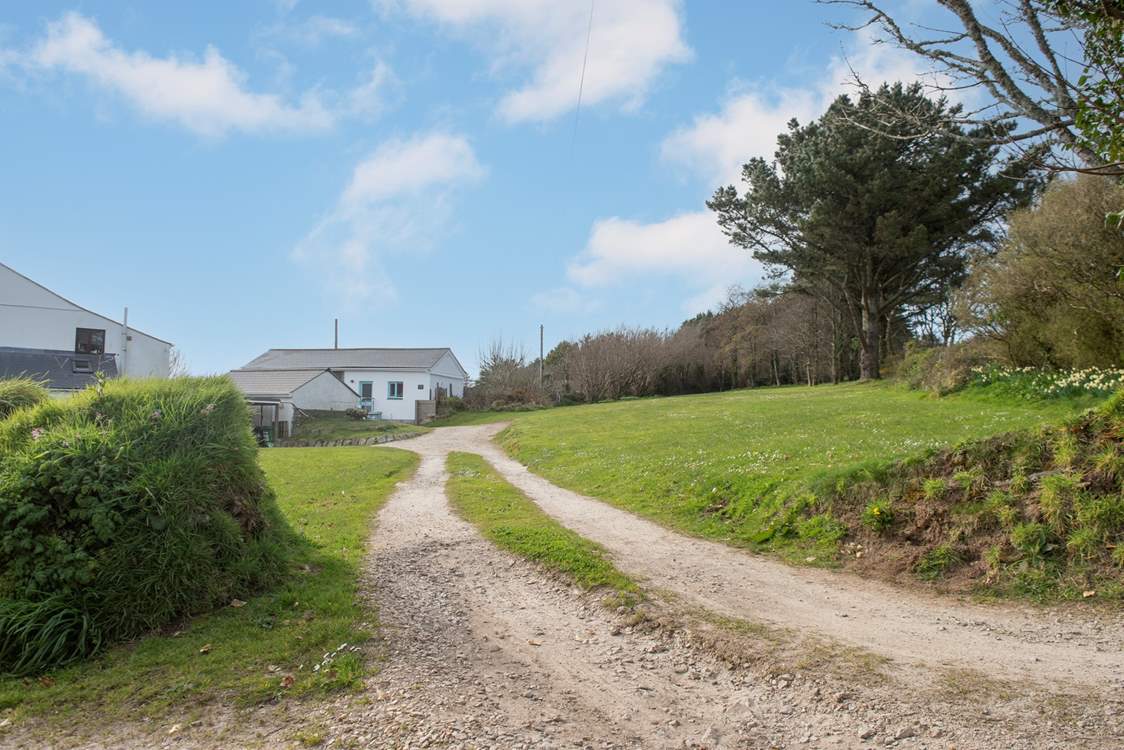The driveway to the Tractor Shed, the land to the left is the perfect place to walk the dog in the morning.