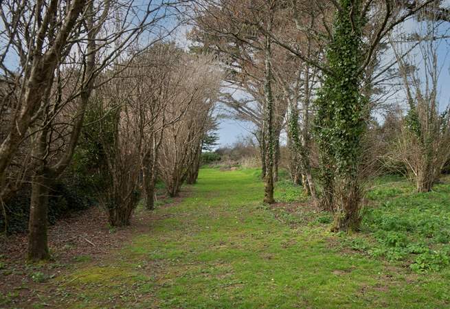 Plenty of space to run your canine holiday companion!