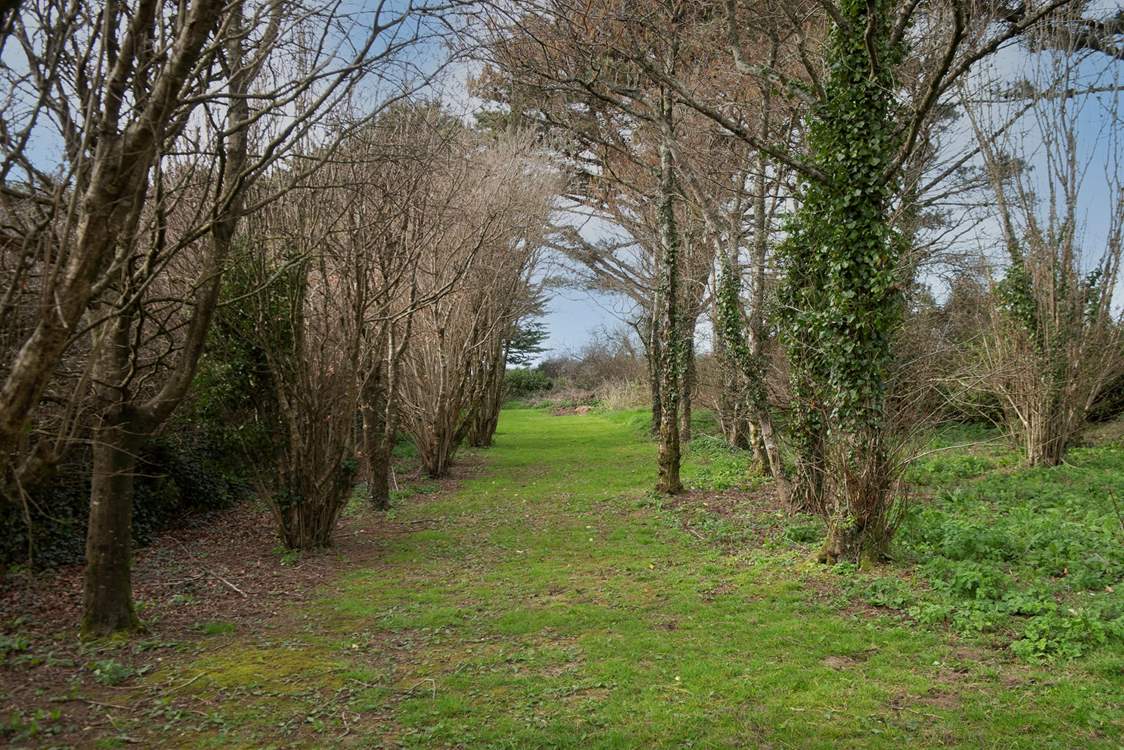 Plenty of space to run your canine holiday companion!