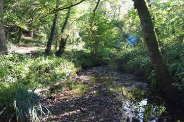 There is a gorgeous little woodland where all are welcome with a stream just a stroll away.