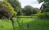 The little meadow and river are just across the lane so if you don't want to take to the car you can explore from your doorstep. There is a public footpath here too. - Thumbnail Image