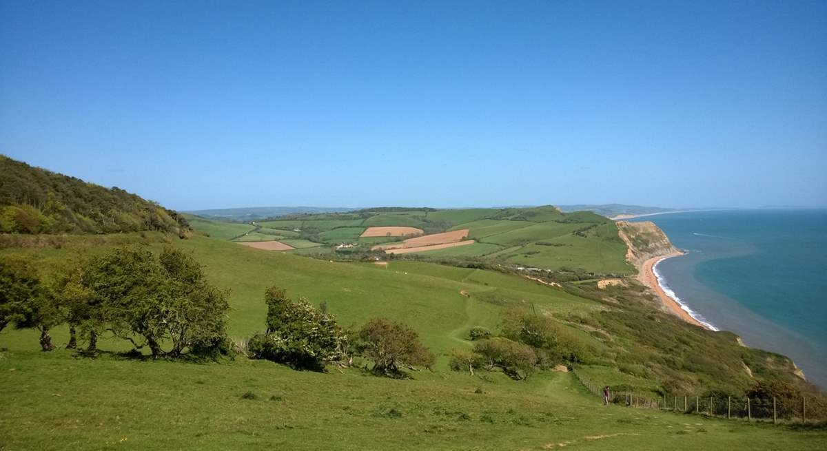 This is the view from the top of Golden Cap - Dorset's iconic landmark an easy drive across the east Devon border.