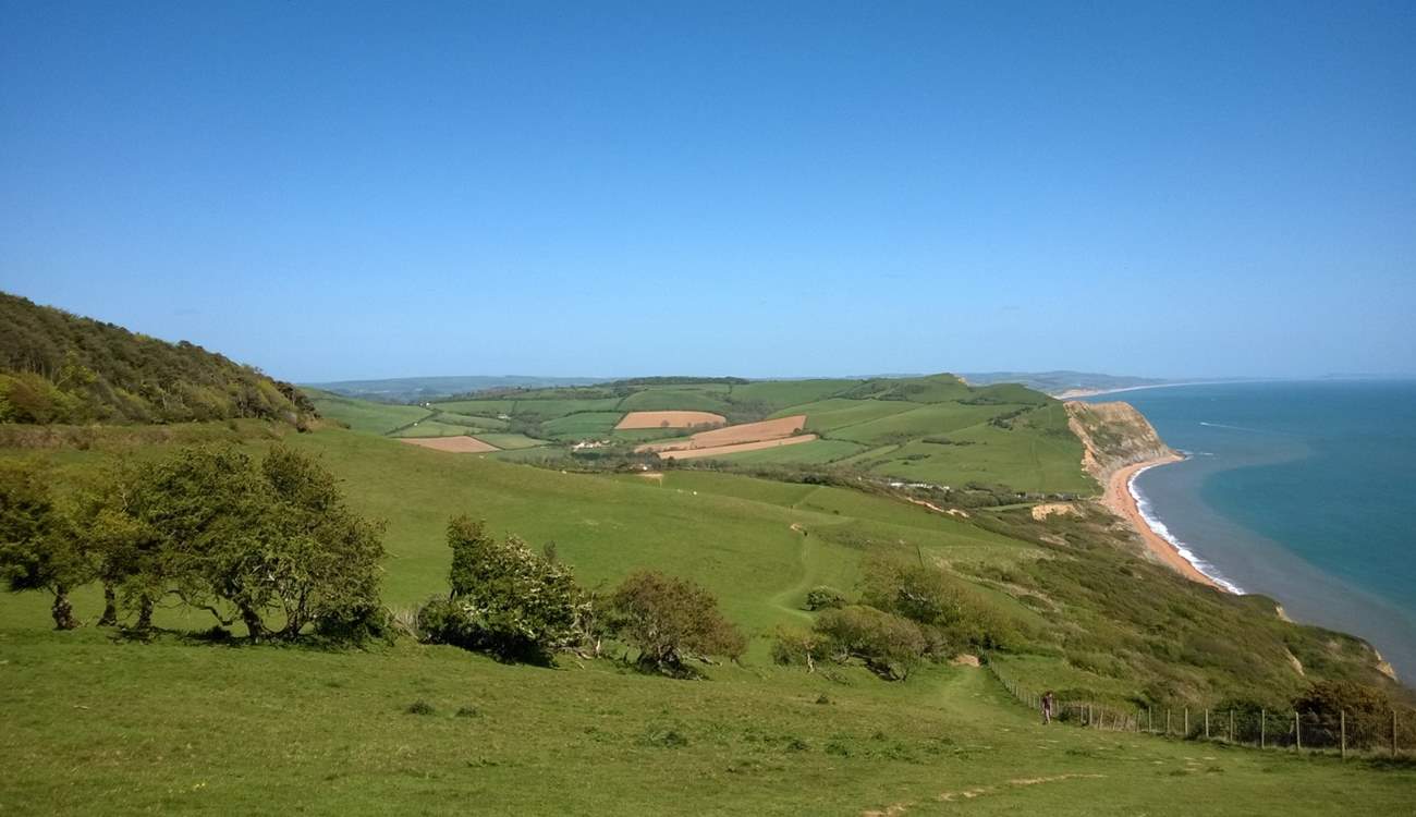 This is the view from the top of Golden Cap - Dorset's iconic landmark an easy drive across the east Devon border.