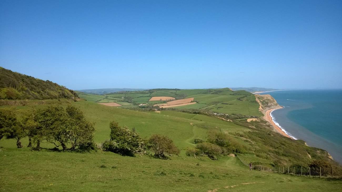 This is the view from the top of Golden Cap - Dorset's iconic landmark an easy drive across the east Devon border.