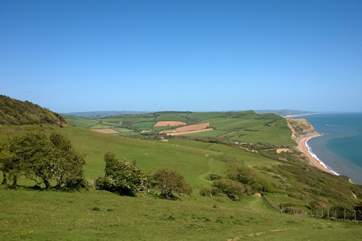 This is the view from the top of Golden Cap - Dorset's iconic landmark an easy drive across the east Devon border.