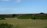 Miles of open space is characteristic of the New Forest National Park. - Thumbnail Image