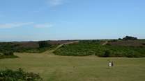 Miles of open space is characteristic of the New Forest National Park.