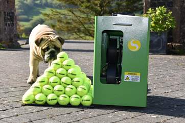 Guests may use the owner's tennis ball machine by prior arrangement, although the ball boy is not included!