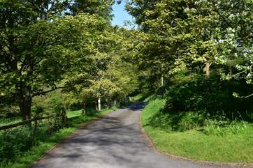 The drive way leading from Barnell Cottage to the lane.