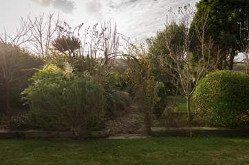 The vegetable plot.