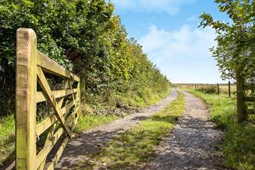 The track that leads to the cottage.