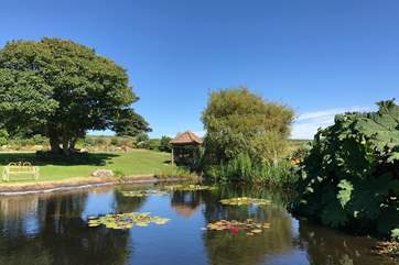 Watch the swallows swoop and dive over the pond.