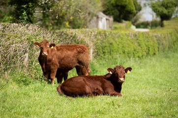 Your neighbours!