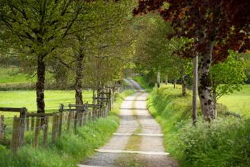 The driveway up to The Apple Store - what a way to begin your adventure!