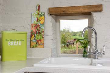 You may spot some of your neighbours, the owner's sweet ponies, through the window as you are doing the washing-up.