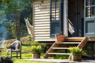 Can you spot your cheeky neighbour?