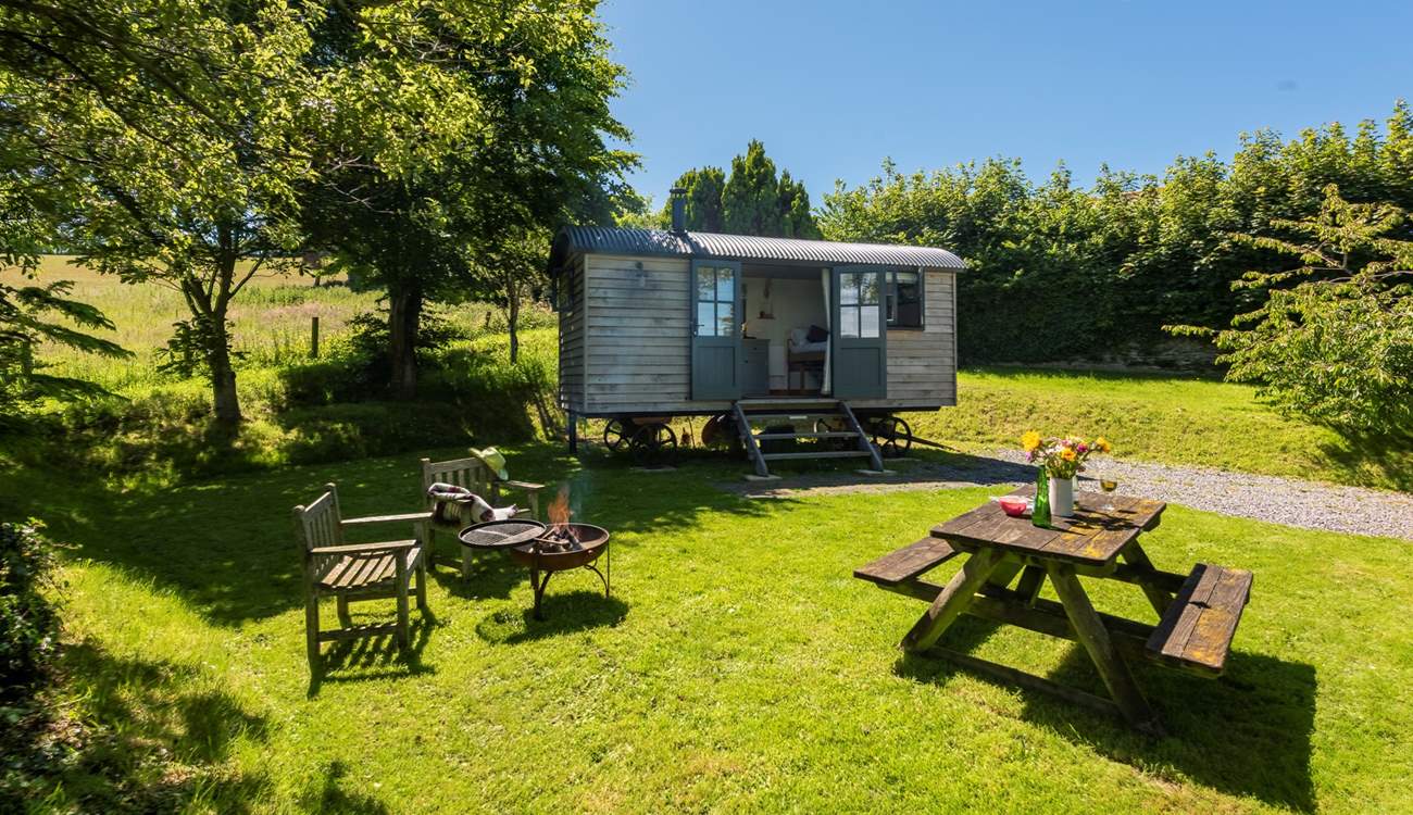 Beautful Copperas sits proud in its very own enclosed area on the historic farmstead at Lydford Farm.
