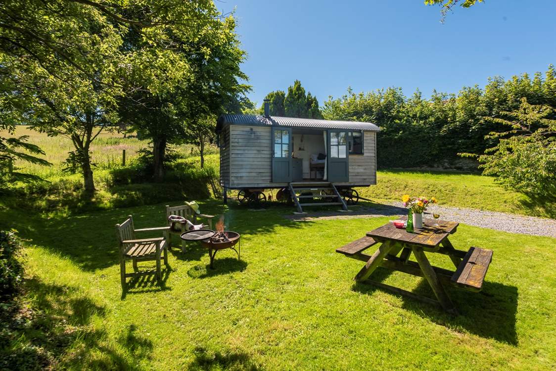 Beautful Copperas sits proud in its very own enclosed area on the historic farmstead at Lydford Farm.