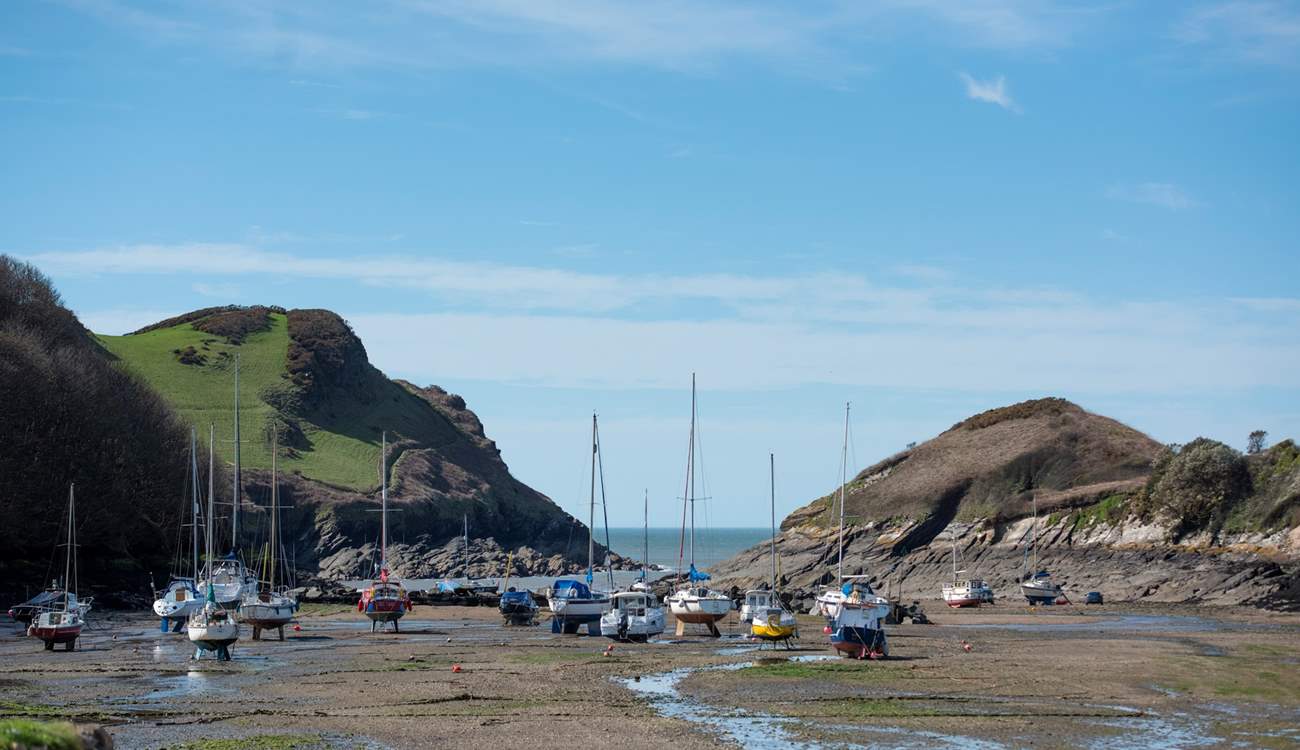 Lovely Watermouth.