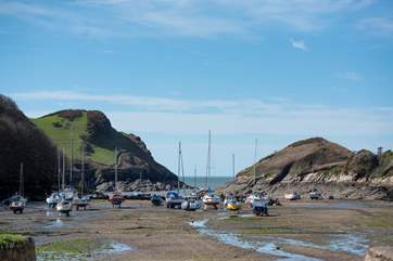 Lovely Watermouth.
