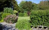 A beautiful array of plants and shrubs in the garden. - Thumbnail Image