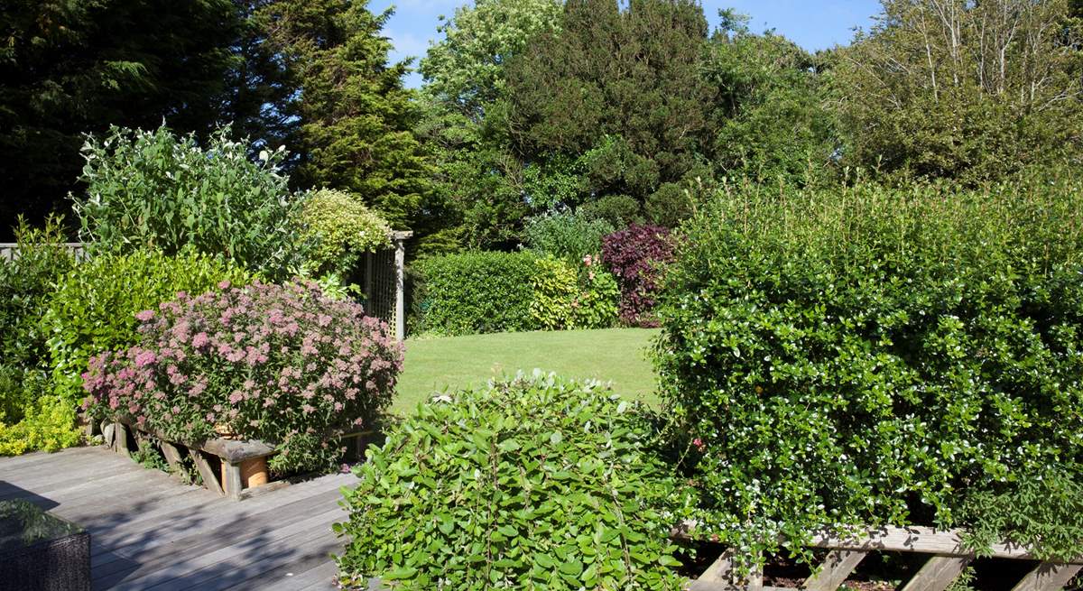 A beautiful array of plants and shrubs in the garden.