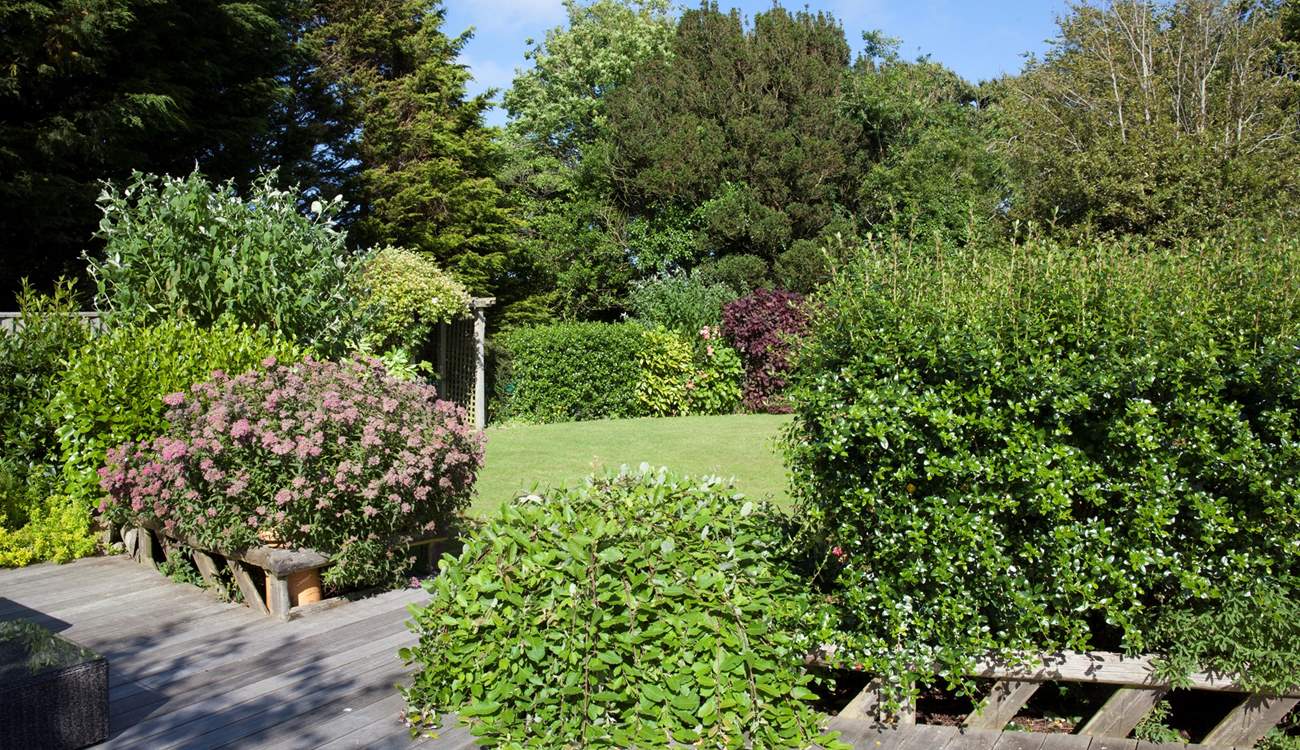 A beautiful array of plants and shrubs in the garden.