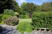 A beautiful array of plants and shrubs in the garden.