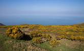 Head up to the Quantock Hills - on a clear day you can see right across the Bristol Channel to South Wales. - Thumbnail Image